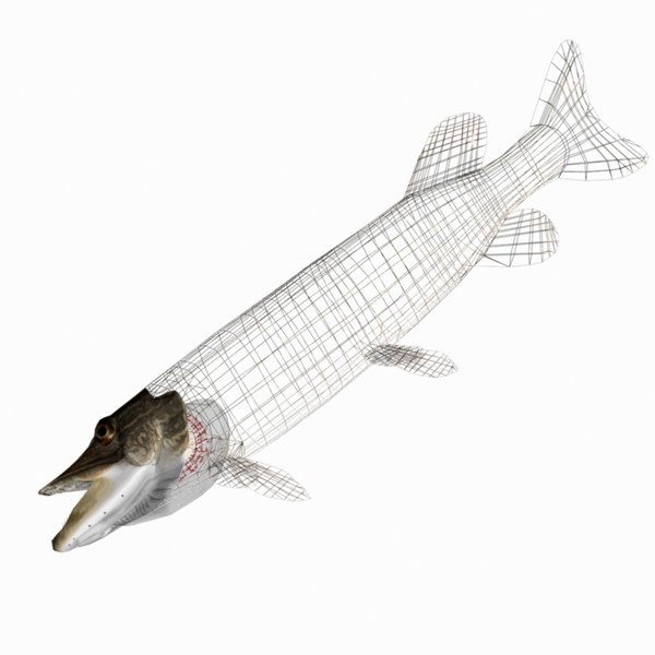 max pike northern - Northern Pike by Bob Markowski