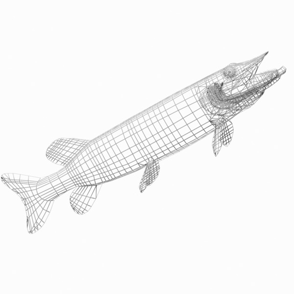 max pike northern - Northern Pike by Bob Markowski