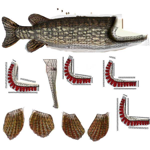 max pike northern - Northern Pike by Bob Markowski