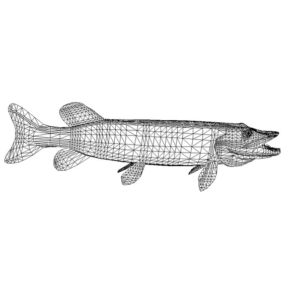 max pike northern - Northern Pike by Bob Markowski