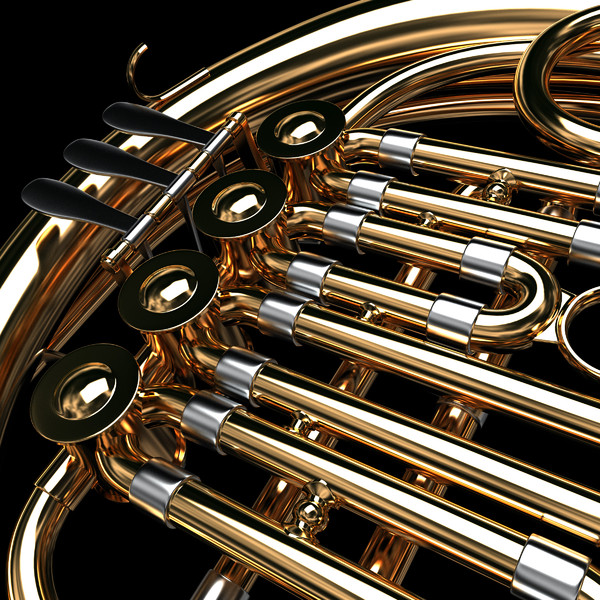 3d model french horn - French Horn by savitch