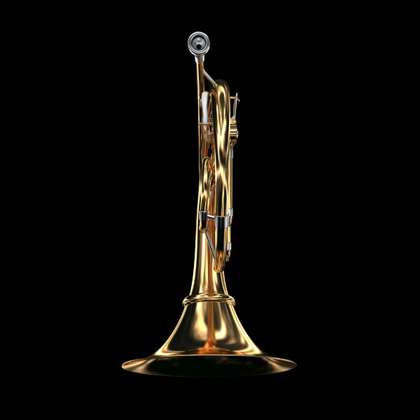 3d model french horn - French Horn by savitch