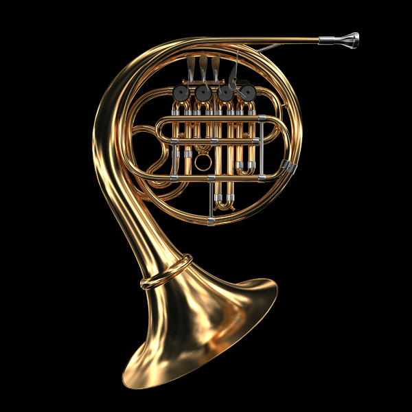 3d model french horn - French Horn by savitch