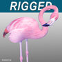 realistic pink flamingo 3d model