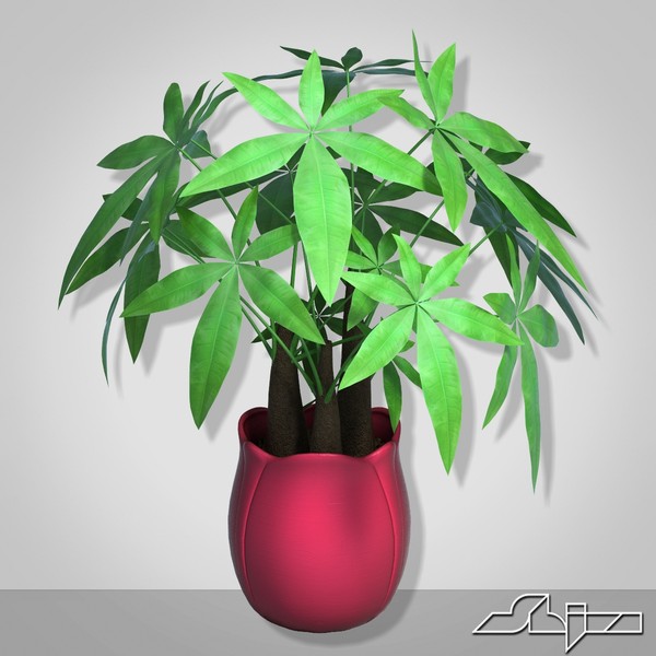 3d fratsiya houseplant - Fratsiya House Plant in Vase by shiva3d