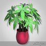 3d fratsiya houseplant