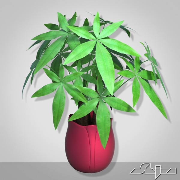 3d fratsiya houseplant - Fratsiya House Plant in Vase by shiva3d