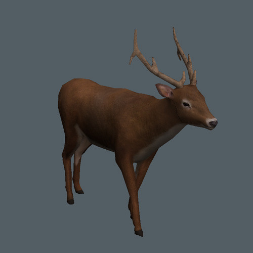 3d model of rigged animations - Animated Game Animal Collection by pure3dviz