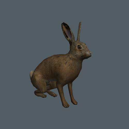 3d model of rigged animations - Animated Game Animal Collection by pure3dviz