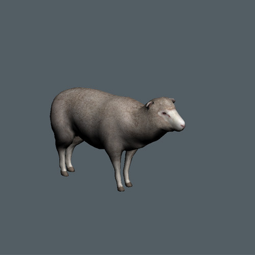 3d model of rigged animations - Animated Game Animal Collection by pure3dviz