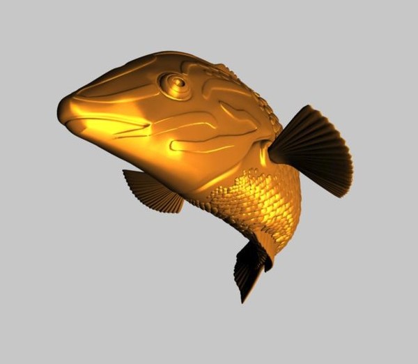 checkerboard wrasse tropical fish ma - Checkerboard Wrasse Fish by fishzombie