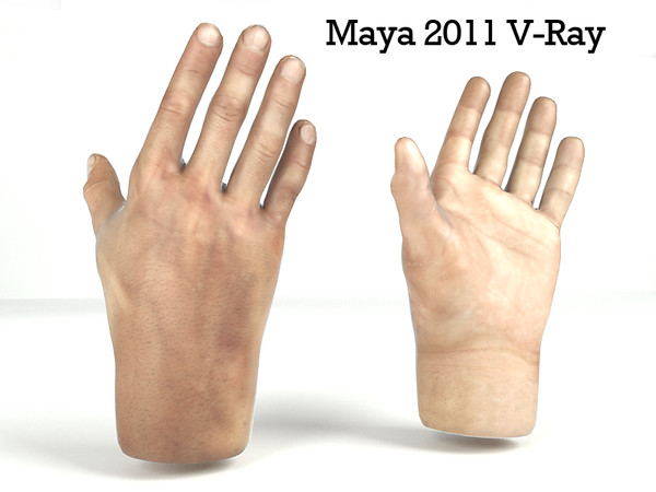max rigged male hand - Rigged Male Man Hands by cgbeige