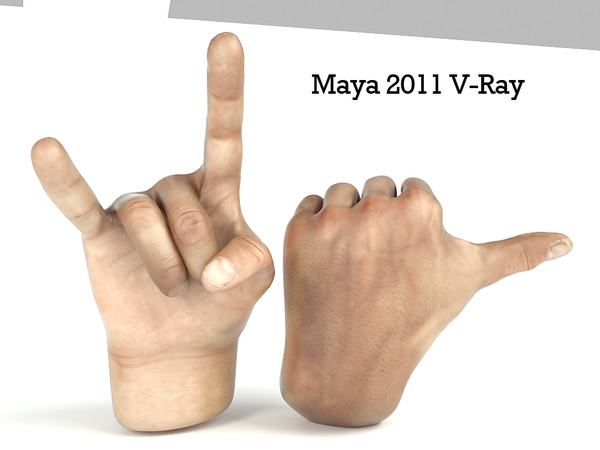 max rigged male hand - Rigged Male Man Hands by cgbeige