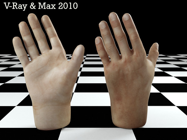 max rigged male hand - Rigged Male Man Hands by cgbeige