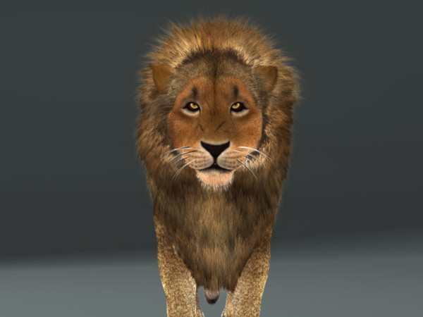 3d lion fur rig model - Lion with Rig & Fur Photoreal by instruct9r