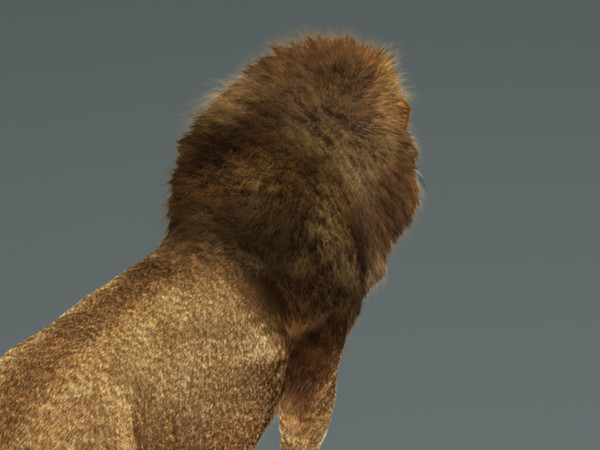 3d lion fur rig model - Lion with Rig & Fur Photoreal by instruct9r