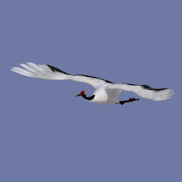 obj crane flight - Crane by Bird Studio