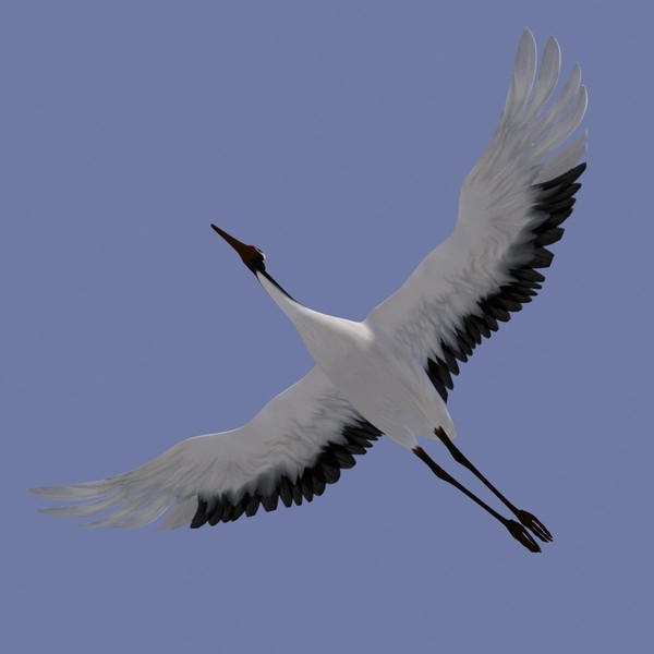 obj crane flight - Crane by Bird Studio