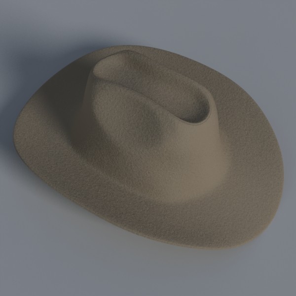 3d coyboy hat model - Coyboy Hat by Joel Gafford