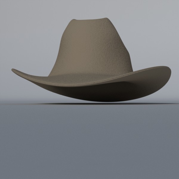 3d coyboy hat model - Coyboy Hat by Joel Gafford