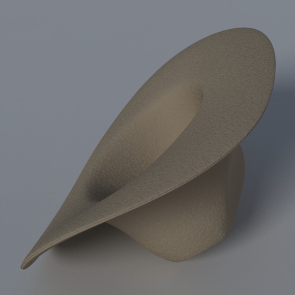 3d coyboy hat model - Coyboy Hat by Joel Gafford