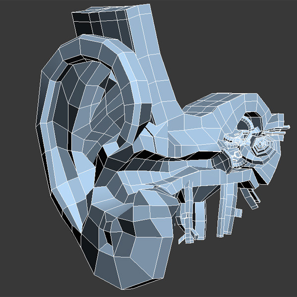 inner ear 3d max - Inner Ear by QLEE