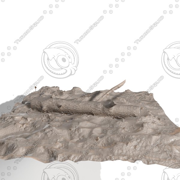 3d log sand beach model - log sand , beach by edikm1