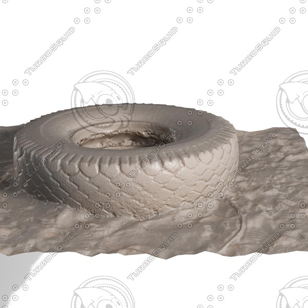 tire sand beach 3ds free - tire  sand  beach garbage by edikm1