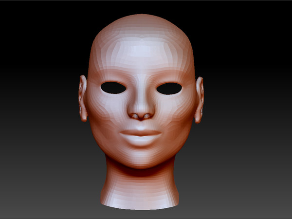 3d womans head model - Female Head by s7u4r7ll