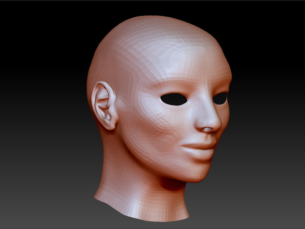 3d womans head model - Female Head by s7u4r7ll
