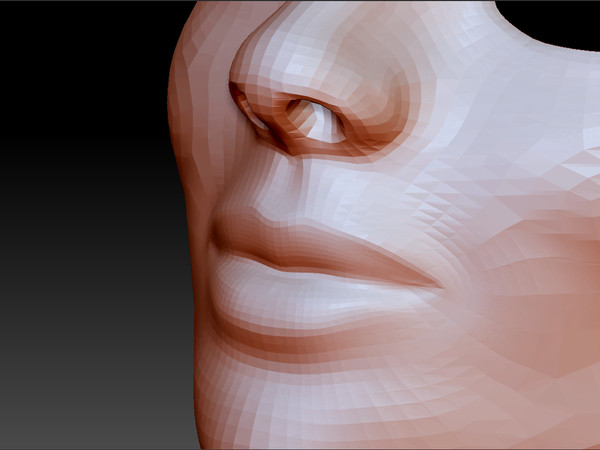 3d womans head model - Female Head by s7u4r7ll