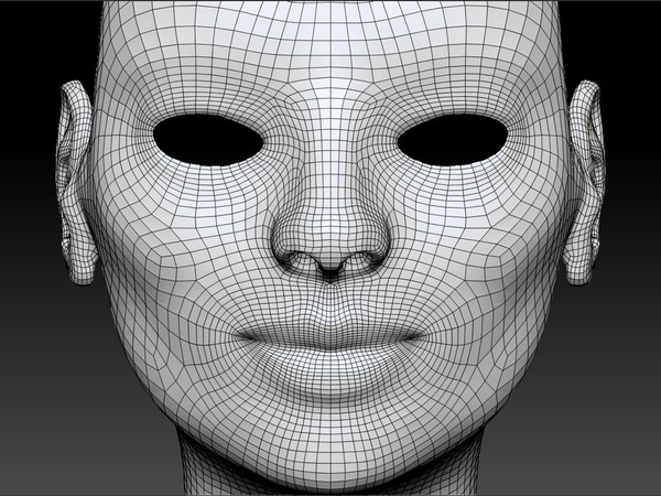 3d womans head model - Female Head by s7u4r7ll
