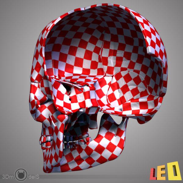 human skull bones anatomy 3d max - Human skulls 2 in 1 (Color & Textured) by leo3Dmodels