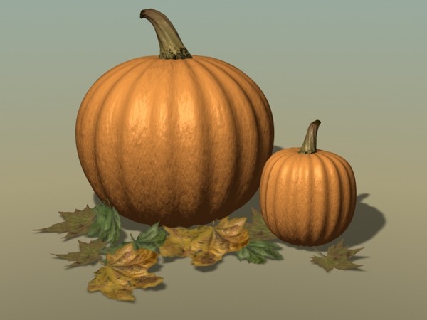 pumpkins leaves max - Pumpkin and Autumn Leaves by PolyPro