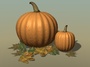 pumpkins leaves max