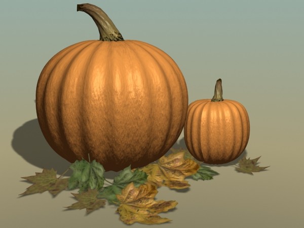 pumpkins leaves max - Pumpkin and Autumn Leaves by PolyPro