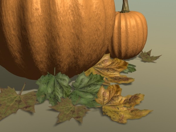 pumpkins leaves max - Pumpkin and Autumn Leaves by PolyPro