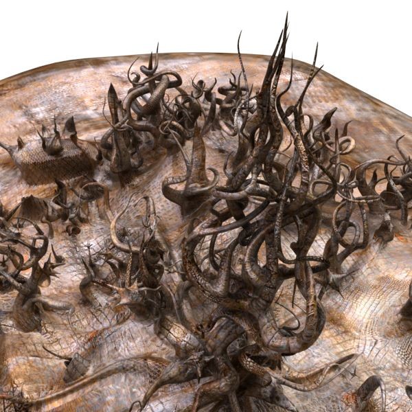 3d alien landscape - Alien landscape by makeionesco
