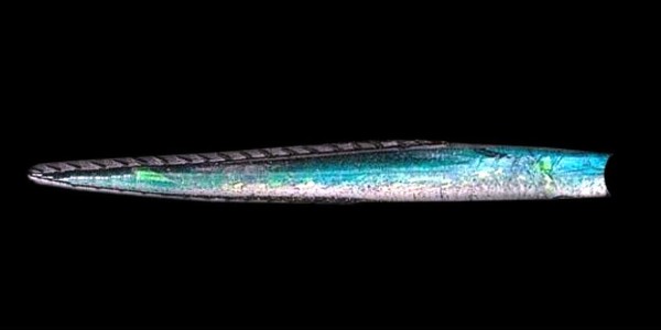 fish imitation jig 3d 3ds - Fishbody by MUROGUE