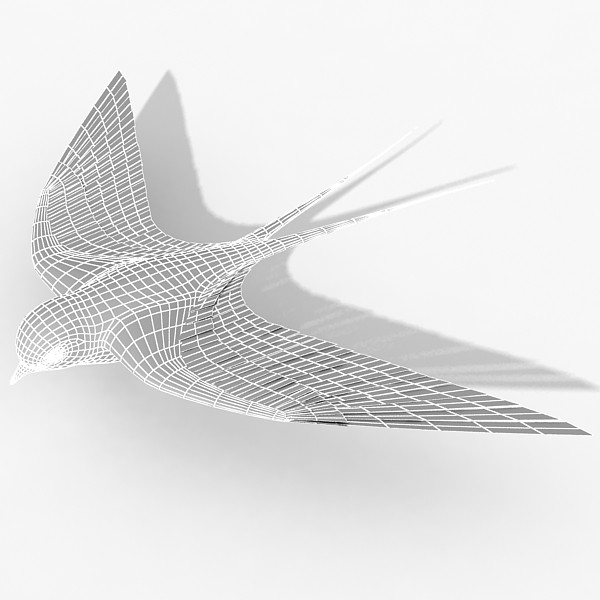 swallow 3d model - Swallow by HD_Ready