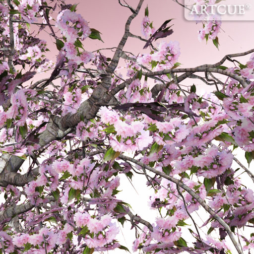 dxf tree flowers - flowering trees 1 by artcue