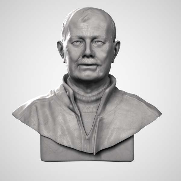 maya bust bronze marble - Male Adult Bust by clay master