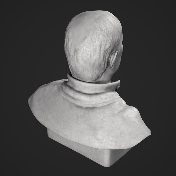 maya bust bronze marble - Male Adult Bust by clay master