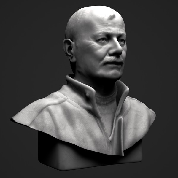 maya bust bronze marble - Male Adult Bust by clay master