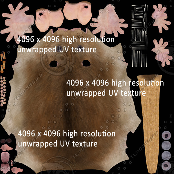 3d model brown rat - Rat ( Brown )... by MotionCow