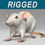 3ds max white rat