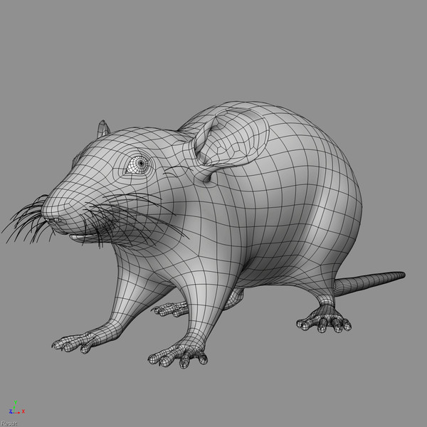 3d model brown rat - Rat ( Brown )... by MotionCow