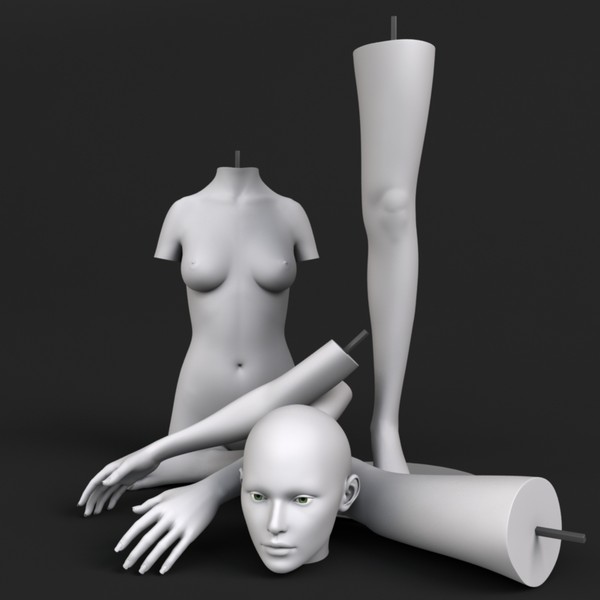 Female Mannequin 3d Model