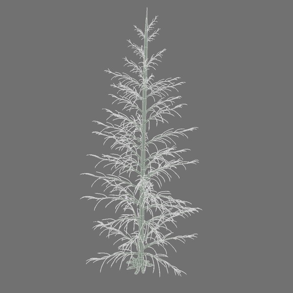 3d conifer tree model - Conifer Tree by yaschan
