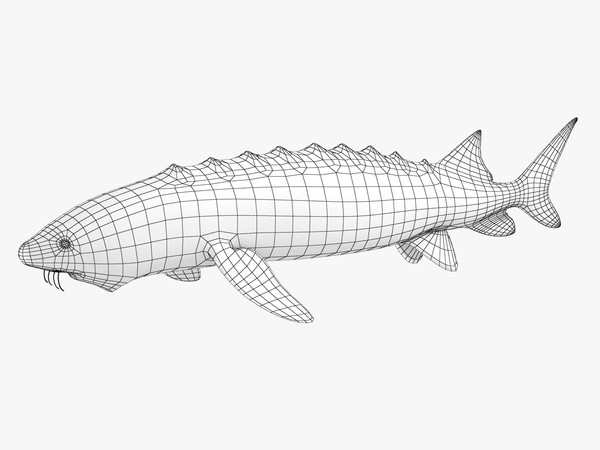 sturgeon 3d model - Sturgeon by 3dsam79